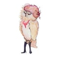 thumbnail image 2 of Diannart 23x32 White Modern Wood Framed Museum Art Print Titled - Fashionista Owl, 2 of 4