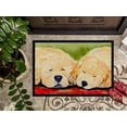 thumbnail image 3 of Carolines Treasures SS8902MAT Tapis d'Extérieur Intérieur Golden Retriever - 18 x 27 Po., 3 of 4