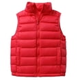 thumbnail image 1 of Chaleco sin mangas con cremallera para niños y niñas, color liso, nailon, informal, con bolsillo, blusa suave y transpirable para exteriores, negro, de 3 a 16 años., 1 of 2