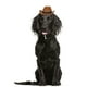 thumbnail image 1 of GOOHOCHY Popetpop Creative Dog Hat Fashion PET TEADDRESS PET CAP CAP PHOTOS APORTE Suministros para mascotas (Café, Color de cuentas al azar), 1 of 7