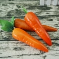 thumbnail image 4 of Necvior 6PCS Artificial Carrots for Kitchen Display Dollhouse Simulations Crafts, 4 of 10