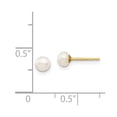 thumbnail image 2 of 14k Solid Gold 4-5mm White Button Freshwater Cultured Pearl Stud Post Earrings 4.3x4.3mm Wide Stud Earring for Women, 2 of 2