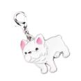 thumbnail image 1 of Colgante De Collar Para Mascotas, Collar Con Etiqueta Ambiental De Metal, Collar De Para Cachorro Para Y Gato, 1 of 7