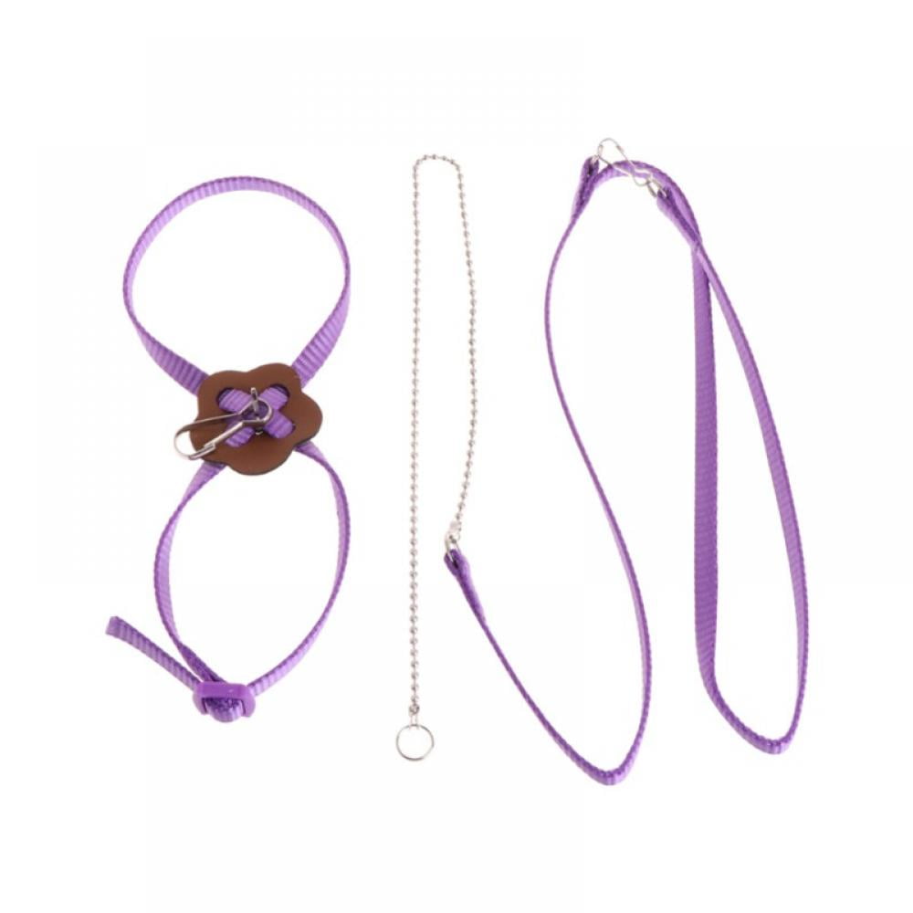 Lorddream Adjustable Parrot Bird Harness Leash AntiBite Flying