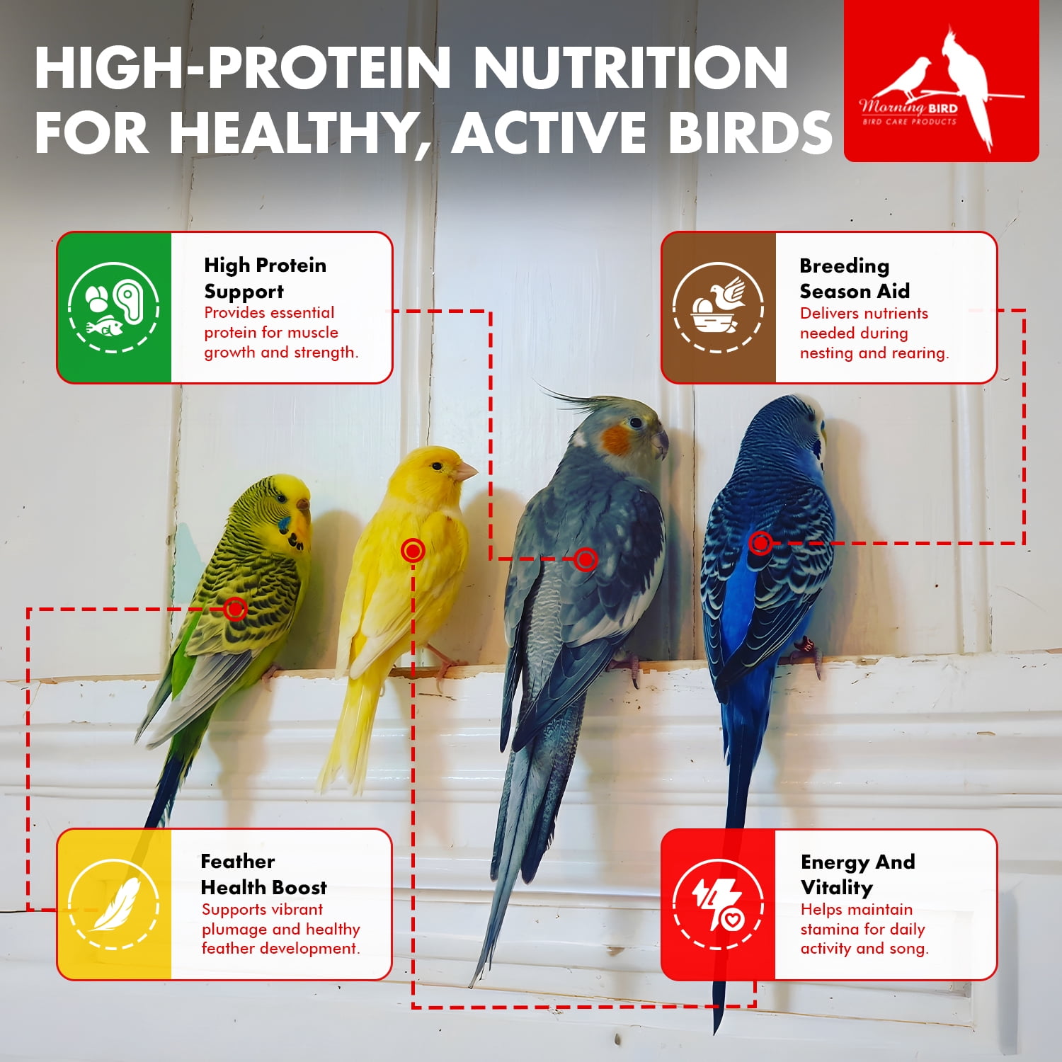 Morning Bird Miracle Meal Bird Food, Soft Food with Vitamins and Minerals, 1.5 lb