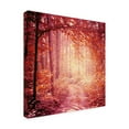 thumbnail image 4 of Trademark Fine Art "Enchanted Forest" Canvas Art by Beata Czyzowska Young, 4 of 4