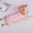 thumbnail image 7 of Dog Diaper with Adjustable Suspender, Washable Reusable Puppy Sanitary Panties Pet Underwear Diaper Jumpsuits for Female Dogs (Pink, XXL), 7 of 7