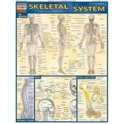 BarCharts- Inc. Skeletal System