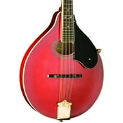 Washburn M1SDLDTR-A Americana Series A-Style Mandolin (Trans Red)
