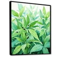 thumbnail image 2 of Designart "Fresh Mint Herbs II" Floral Framed Wall Art - Traditional Green Herbs Entryway Framed Wall Art, 2 of 6