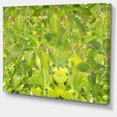 thumbnail image 2 of Bright Fuchsia Green Foliage - Floral Canvas Art Print, 2 of 4