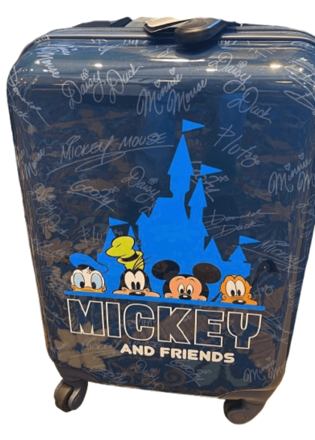 Disney Parks Walt Disney World Mickey & Friends Comic Large