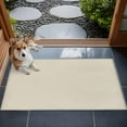 thumbnail image 4 of White Swan 2x3 Door Mat Rug, Farmhouse Solid Beige Color Modern Art Non-Skid Rubber Backing Large Rectangle Rugs - Living Room Bedroom Home Office, Indoor Floor Mat Carpets Washable Rug, 4 of 9