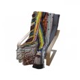 thumbnail image 4 of Modern Soft Flannel Fleece Throw Blanket, Funky Abstract Trippy Original Music Pattern with Brushstroke Effects Image, Cozy Plush for Indoor and Outdoor Use, 50" x 70", Multicolor, by Ambesonne, 4 of 6