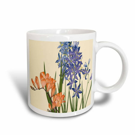 3dRose Agapanthus and Freesia Pretty Spring Flowers in Peach and Lavender, Ceramic Mug,