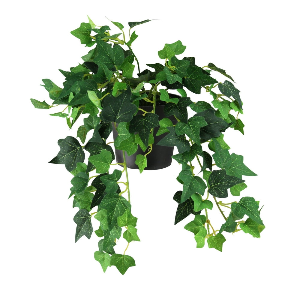 Northlight 15" Ivy Bush Spring Artificial Potted Plant Green/Black