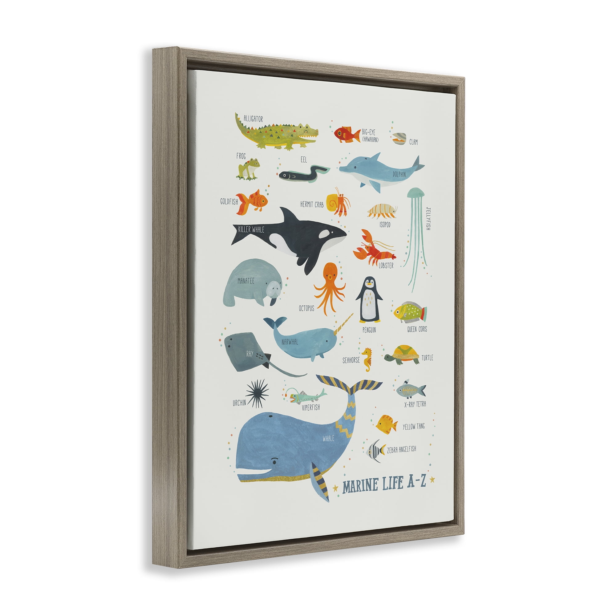 Stupell Industries Marine Life ABC Alphabet Education Painting Brown Floater Framed Canvas Art Print Wall Art, 25 x 31