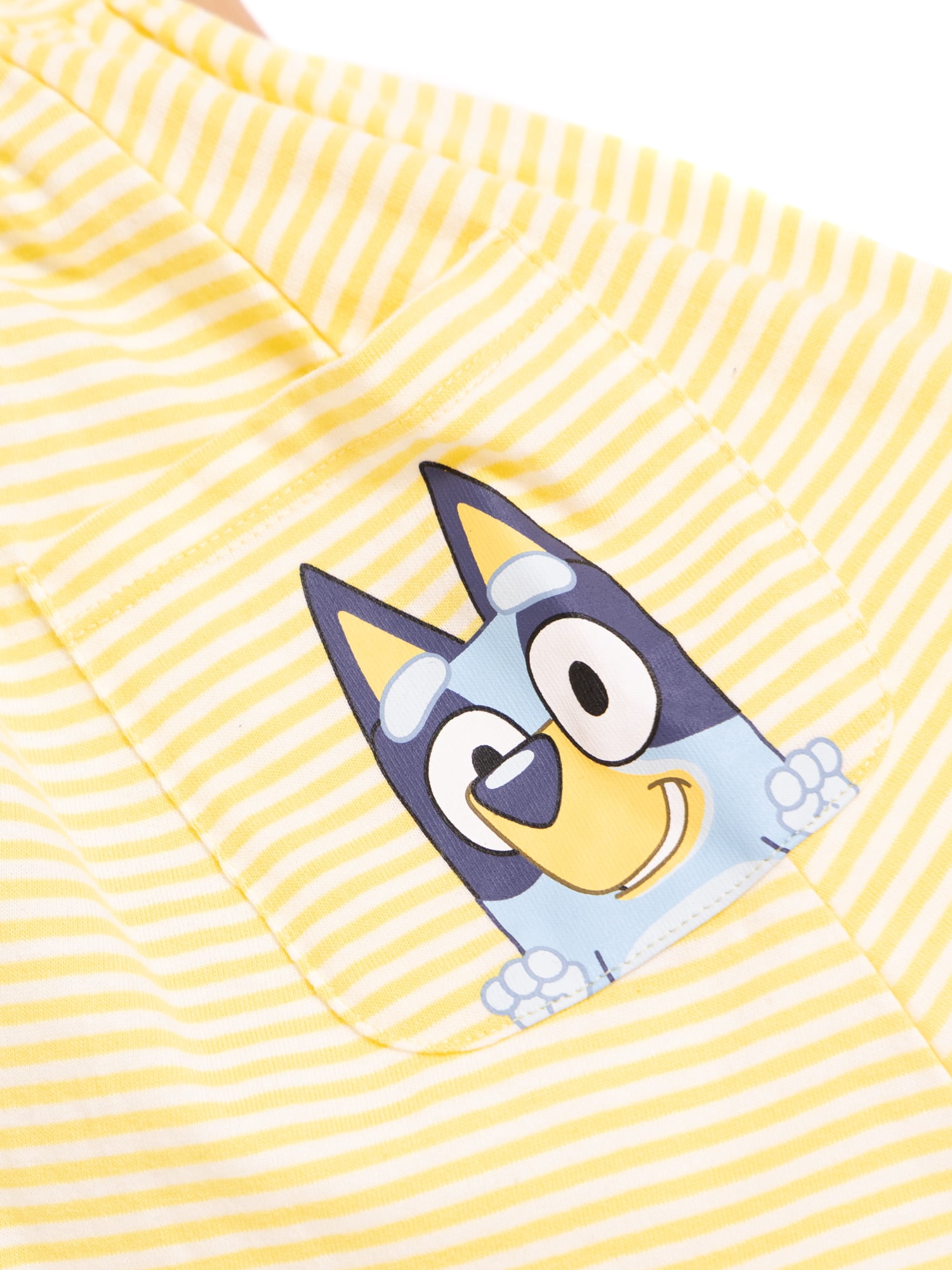 Bluey Toddler Girl Short Sleeve Striped Dress with Graphic Pockets, Sizes 12M-5T