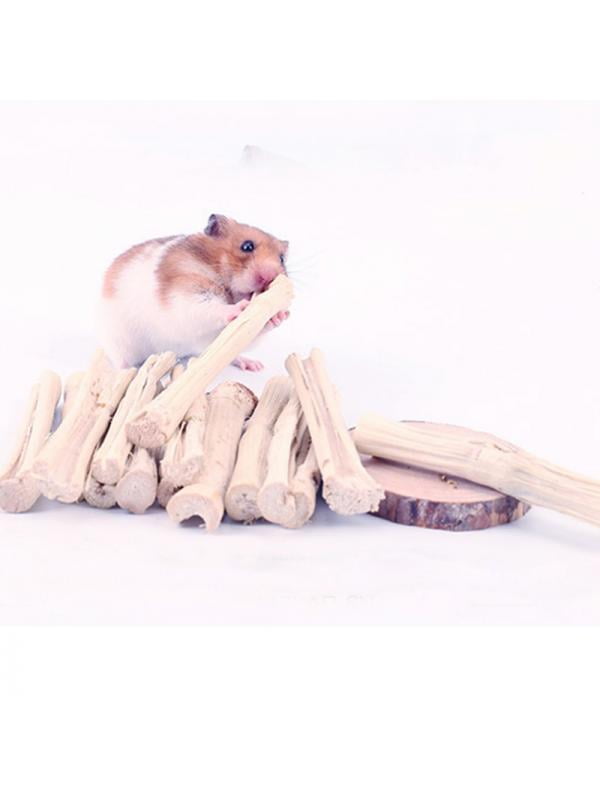 hamster toys walmart