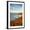 Black Frame, variant on Art.com USA, California, La Jolla. Blooming aloe and Wipeout Beach Photographic Print by Ann Collins, 12" x 18"