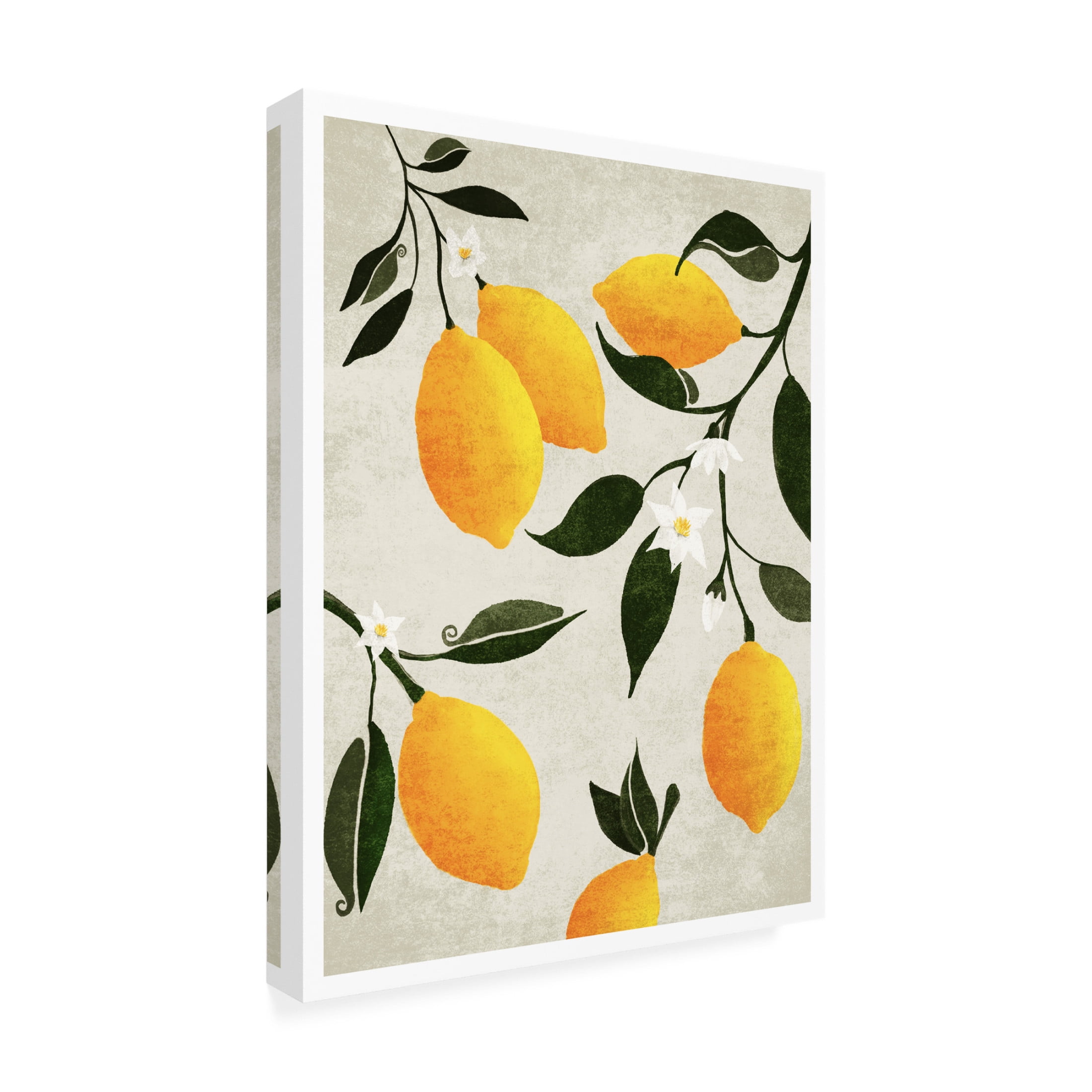 Trademark Fine Art Emel Tunaboylu Rectangle 15 Canvas Wall Art