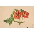 thumbnail image 2 of Henryka Beyer 14x11 Black Ornate Wood Framed Double Matted Museum Art Print Titled: Nasturtium Twig (1810), 2 of 5