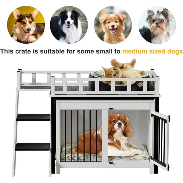 Dog Cage Should I Put Blankets In My Dog's Crate PAKASEPT Dog