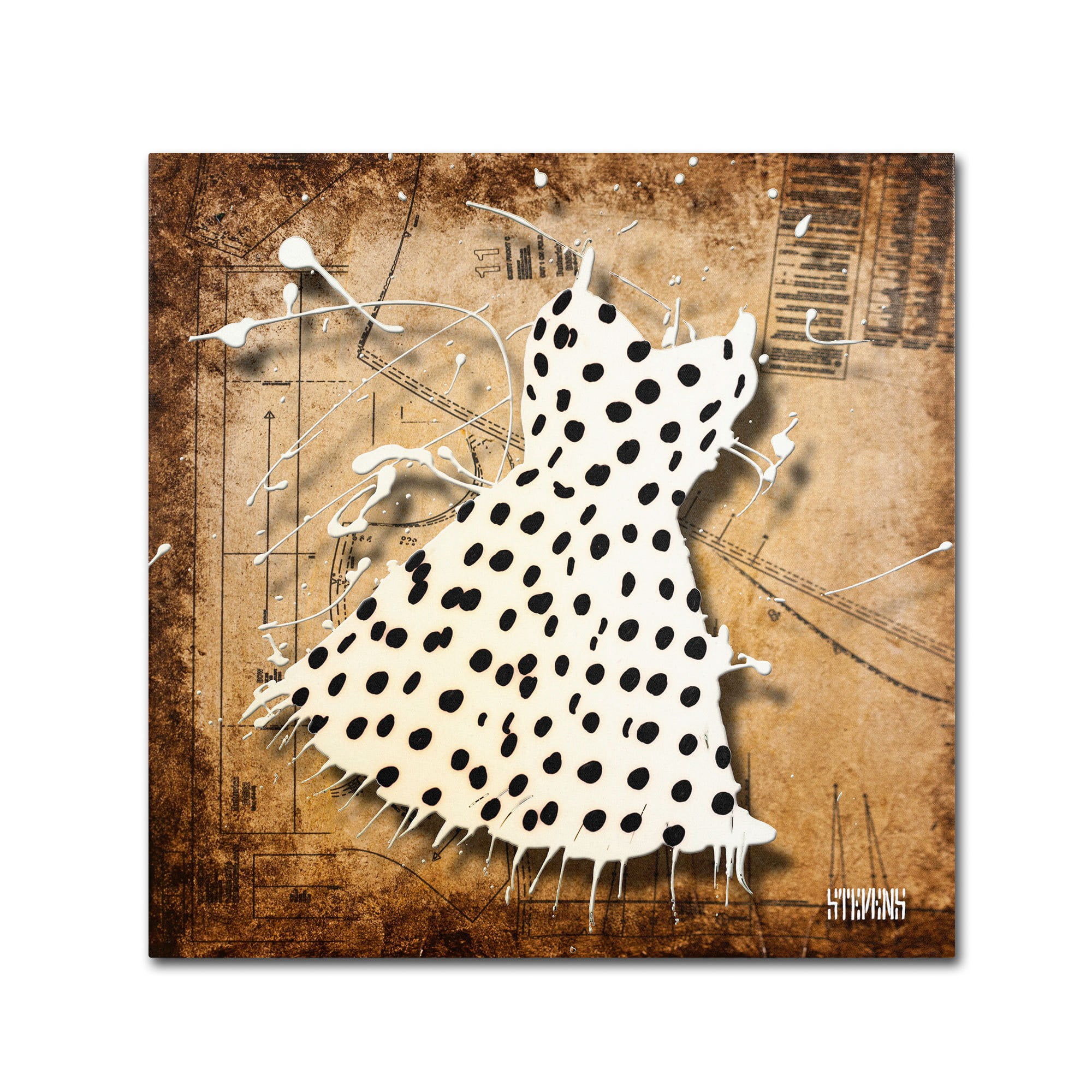 Trademark Fine Art "Black on White" Canvas Art by Roderick Stevens