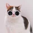 thumbnail image 4 of Lindas gafas de sol para perros, gafas de sol con perlas para perros, accesorios para disfraces de perros para fiestas pequeñas y medianas, 4 of 5