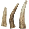 thumbnail image 2 of Health Extension Medium Whole Elk Antlers Long-lasting Bone Chew | Training Treat | Non GMO | Hard Dog Chew | Ideal & Stomach Safe | Healthy Gums, 2 of 2