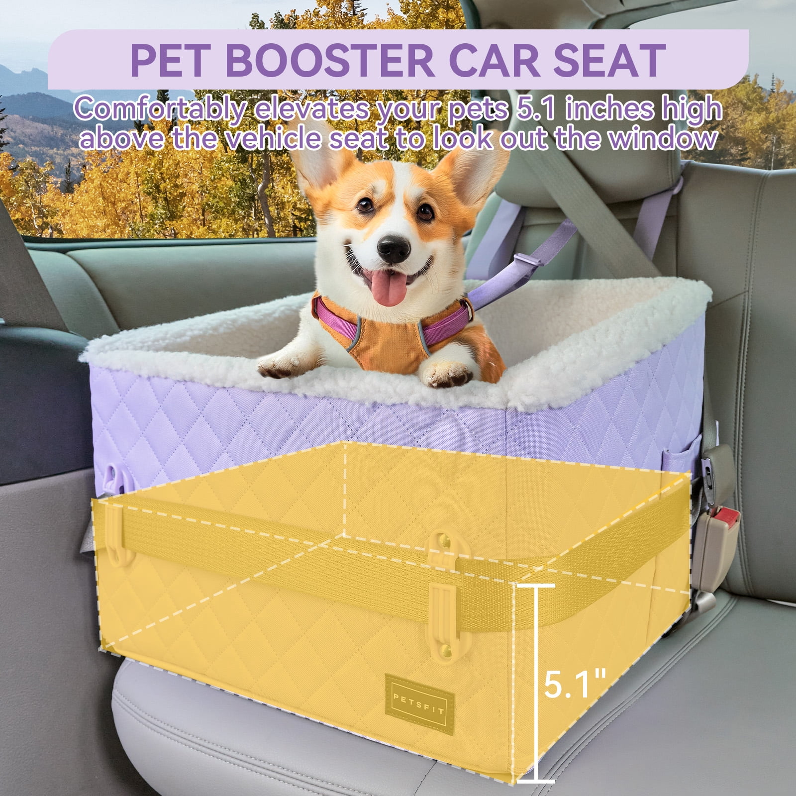 PETSFIT Dog Booster Car Seat, Soft Foam,Patented Safety Buckles, Storage Pockets and Detachable Clip-On Safety Leash, 30 LBS (Purple)