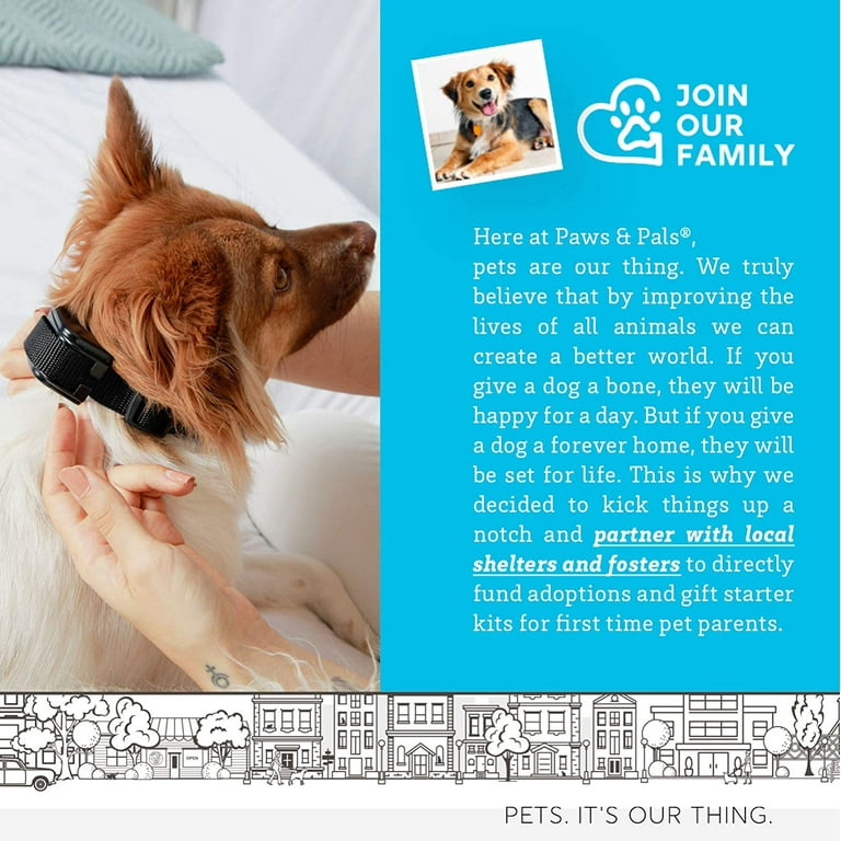 Dog shock clearance collar with radius