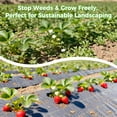 thumbnail image 5 of Shade&Beyond 3'x50'Weed Barrier Landscape Fabric, 2.5OZ Woven Weed Control Fabric, Weed Blocker Mat, Easy Setup, Durable Gardening Fabric for Driveway Ground Cover, Black, 5 of 7