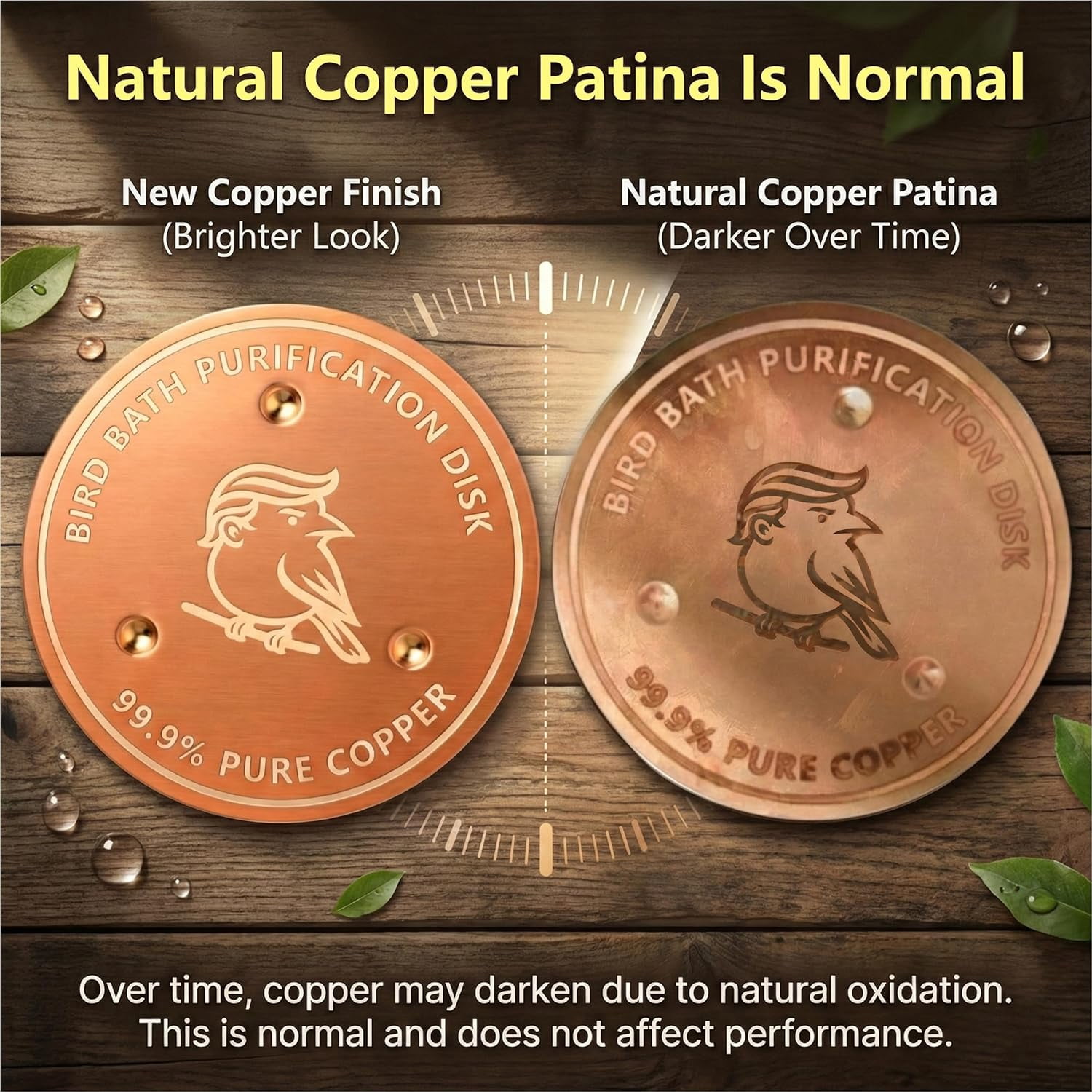 Bird Bath Copper Disk, 0.6mm Thick 99.9% Copper Disk for Outdoor Bird Baths, Bowls, Fountains, All-Season Use