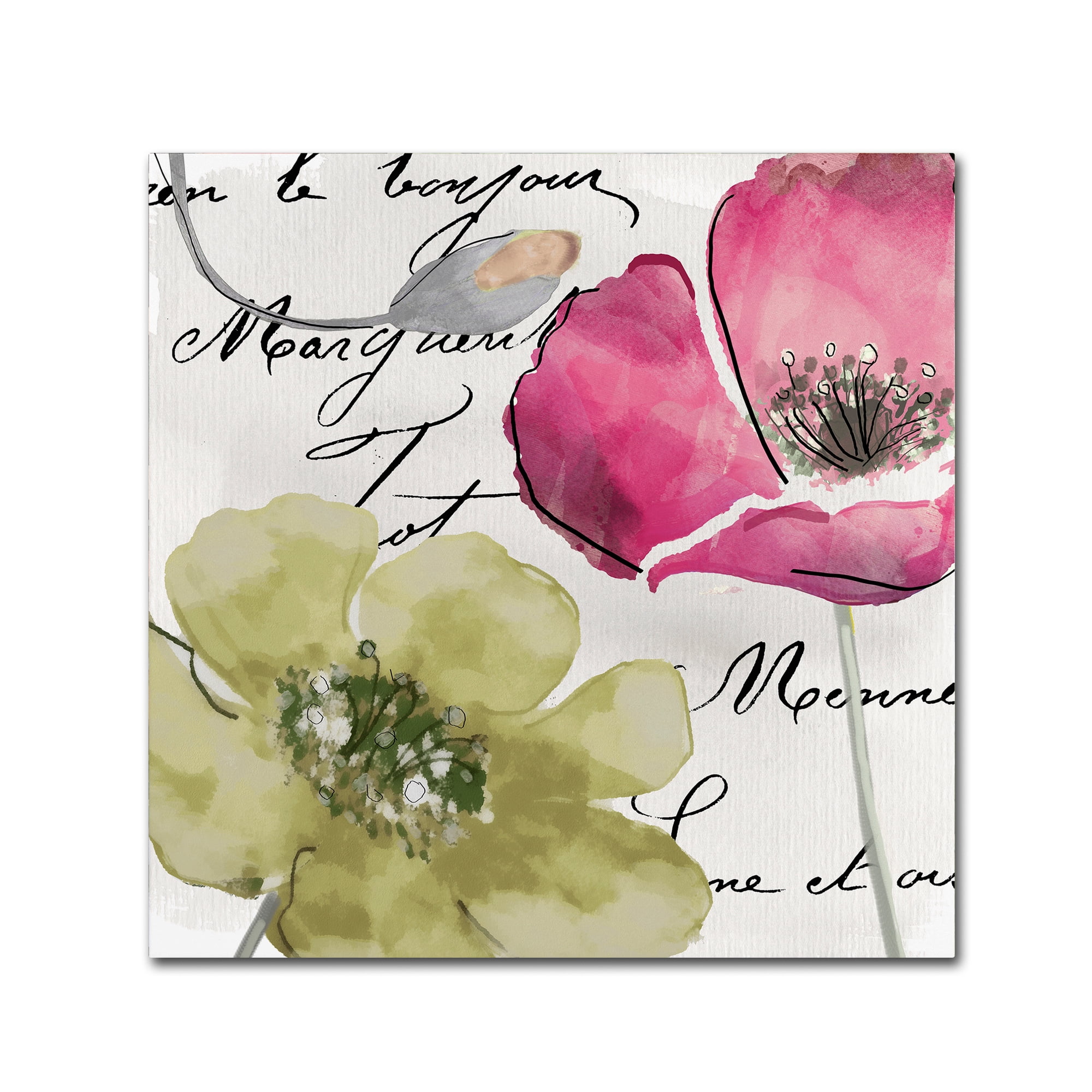 Trademark Fine Art "Fleurs de France IV" Canvas Art by Color Bakery
