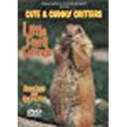 Cute & Cuddly Critters: Little Furry Friends