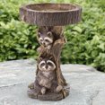 thumbnail image 2 of Wdftyju Escultura de mapache de resina Comedero para pájaros Estatuillas de animales de jardín Contenedor de alimentación Wdftyju 5ej5pc6mh2wv2wm7, 2 of 9