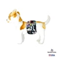 thumbnail image 4 of Barkertime Rock and Roll Dog Belly Band, 4 of 5