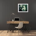 thumbnail image 3 of Suchocki, Irene 14x12 White Modern Wood Framed Museum Art Print Titled - The Midnight Garden II, 3 of 4