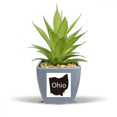 thumbnail image 1 of Ohio America USA Map Outline Fake Pineapple Flower Pot Vase Mini Decor, 1 of 3