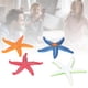 thumbnail image 4 of Modelo de estrella de Mar ANGGREK Juguetes, 4 of 8