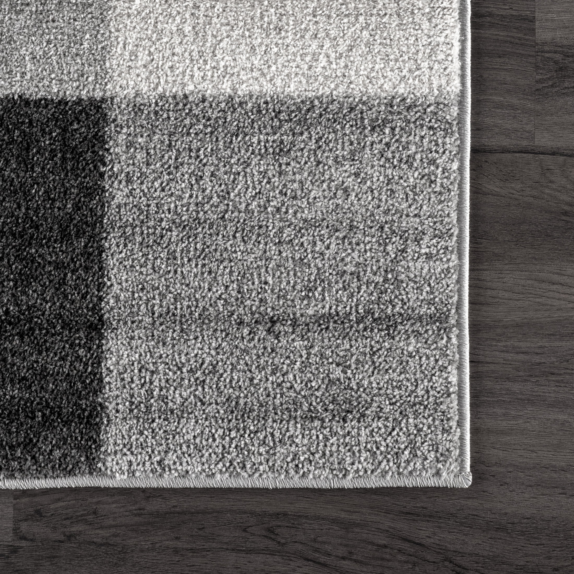 nuLOOM Aisha Buffalo Plaid Area Rug, 2' 5" x 9' 6", Runner, Aisha Grey