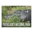 thumbnail image 2 of Everglades National Park, Florida, Alligator in Grass (1000 Piece Puzzle, Size 19x27, Challenging Jigsaw Puzzle for Adults and Family, Made in USA), 2 of 4