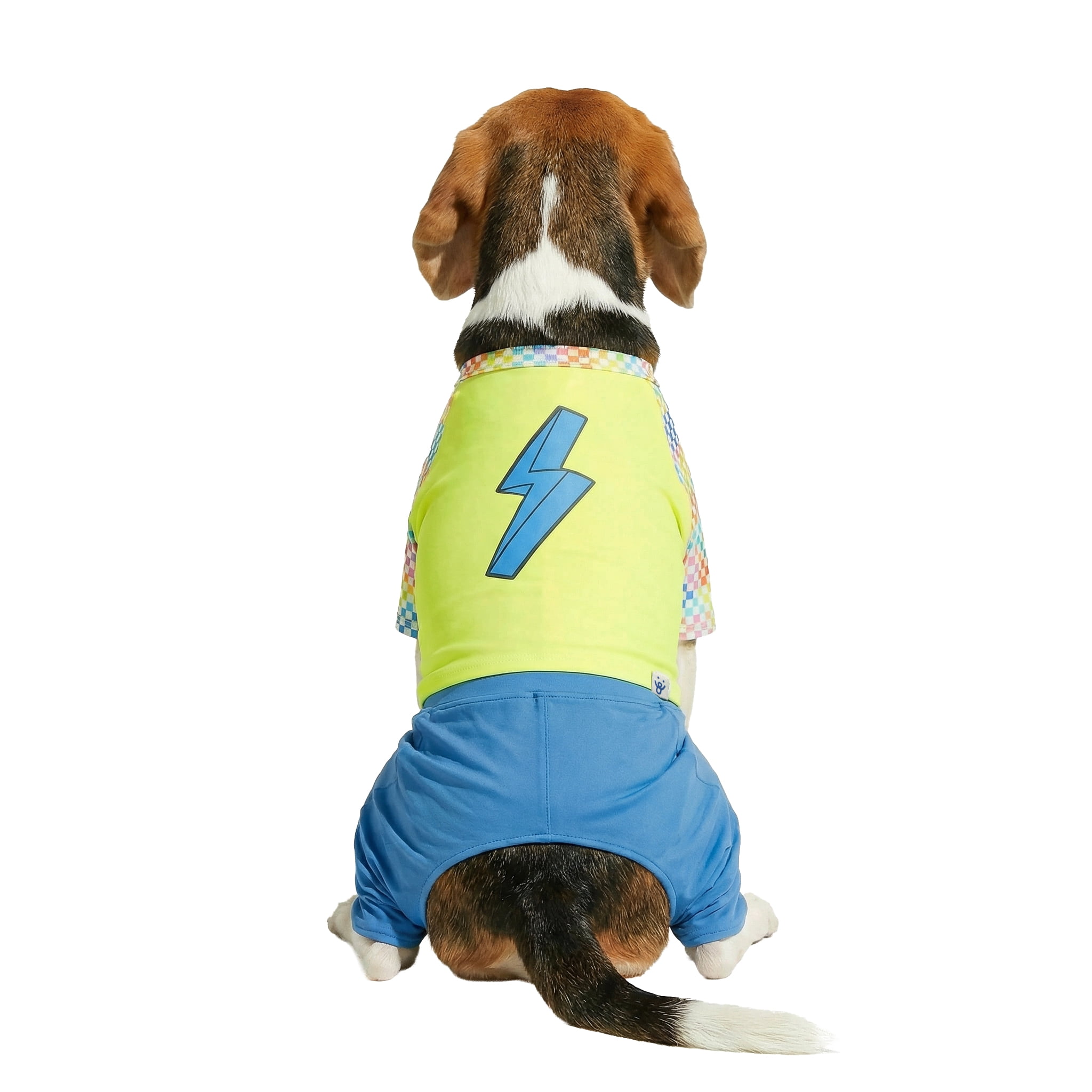 Oodles Green Lightning Bolt Spring 2-Piece Dog Swimsuit, Medium