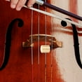 thumbnail image 1 of TEHAUX 1Pack Metal Cello Accessory Wolf Tone for Musicians Use, 1 of 6