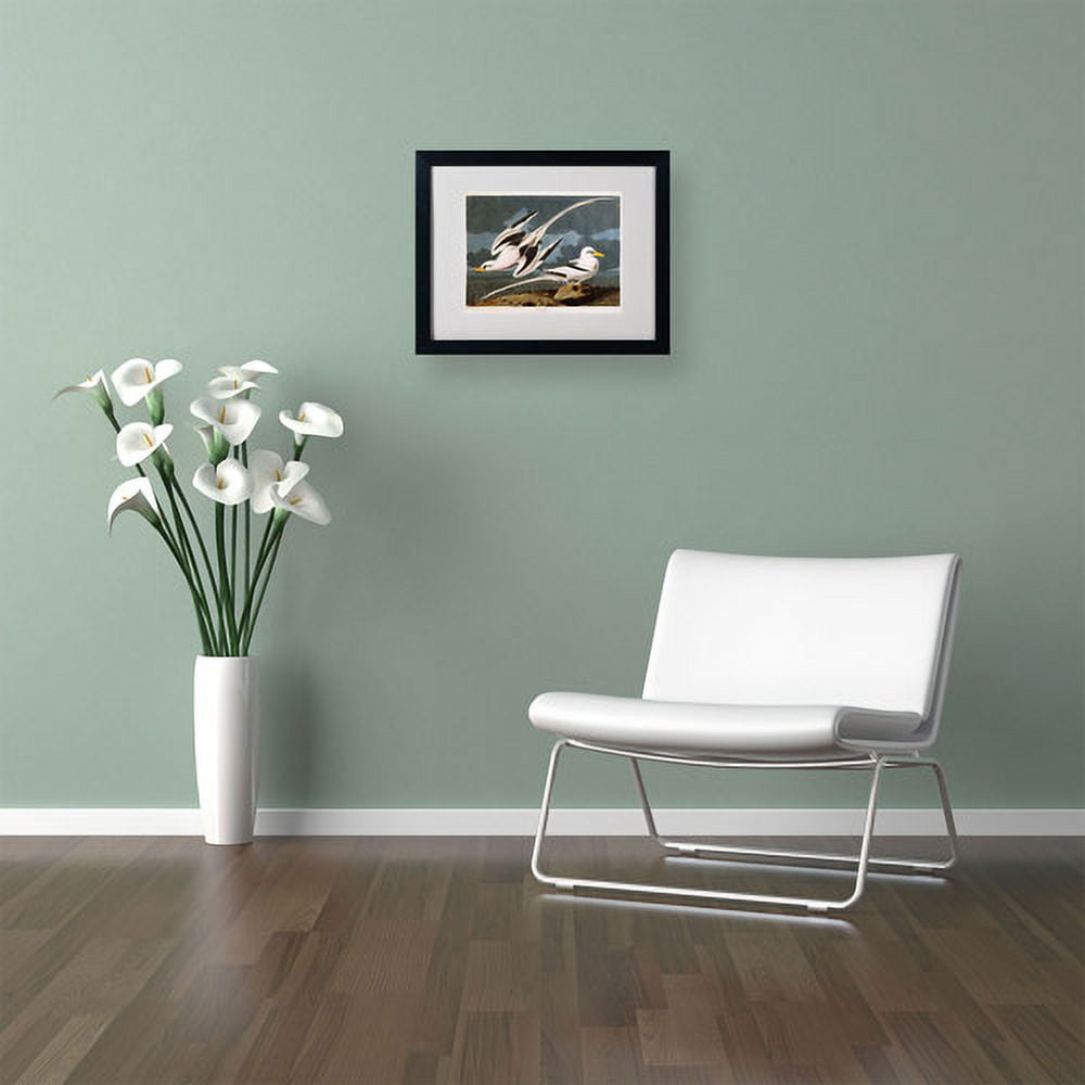Trademark Fine Art "Tropic Bird" Canvas Art by John James Audubon, Black Frame