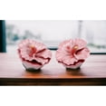 thumbnail image 2 of Ceramic Hibiscus Flower Salt and Pepper Shakers 2.5 Inch Gift, 2 of 3