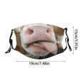thumbnail image 3 of Funny Animal Face Reusable Washable with Tiger Cat Dog Monkey Pig Designs for Kids & Adults, 3 of 5