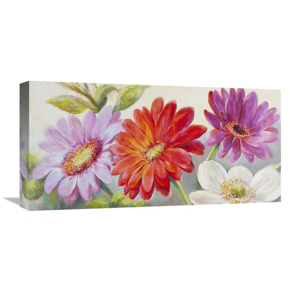 Global Gallery Nel Whatmore,'Beautiful Array' Stretched Canvas Artwork