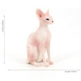 thumbnail image 4 of Estatuilla de animales gato CUTICAT Adorno de gato sin cabellero, 4 of 6